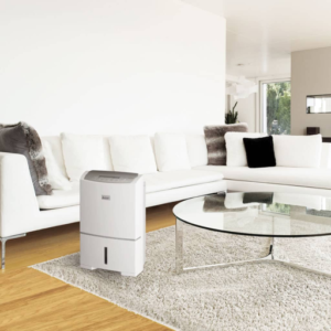What are the signs of high indoor humidity in your home?