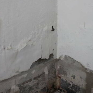 How to maintain proper humidity levels in the house?