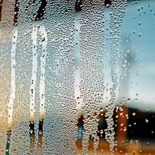 how to naturally dehumidify a room