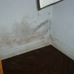 How Does Humidity Affect Your Home?
