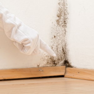 What Are the Signs That You Need a Dehumidifier in Your Home?