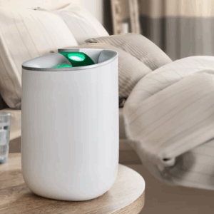 What Are the Common Misconceptions About Mold and Dehumidification?