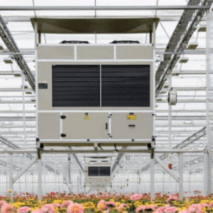 natural greenhouse dehumidification solutions