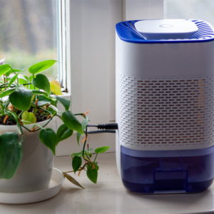 How to Care for Humidity Absorbing Houseplants