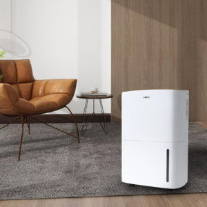 How to Choose the right Quiet Dehumidifier for Your Needs