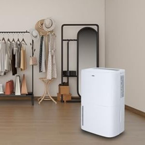 Which are the Quiet Dehumidifiers of 2024?