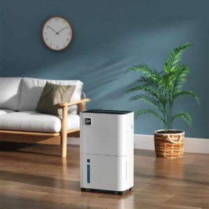 How to Maintain and Use a Quiet Dehumidifier Effectively?