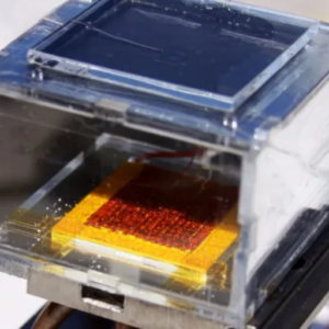 What Are the Benefits of Using a Solar Dehumidifier?