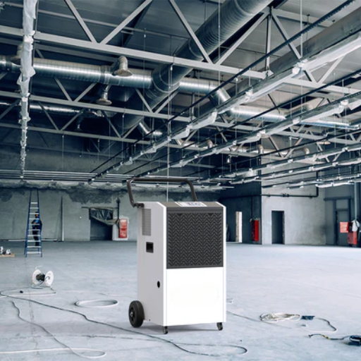 What Are the good value Dehumidifiers in 2024?