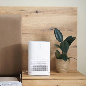 What Are an Effective Ways to Dehumidify a Room?