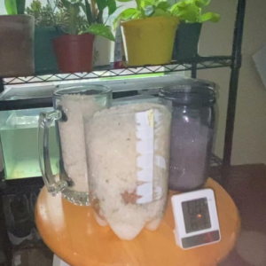 How Can You Dehumidify a Room Without a Dehumidifier?