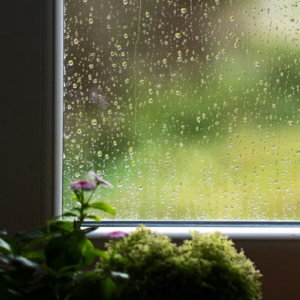 What Causes High Humidity Levels in a Home?