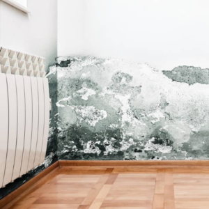 How to Monitor and Maintain Humidity Levels in Your Home?