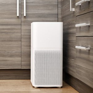 How to Handle Excess Moisture in Problem Areas?