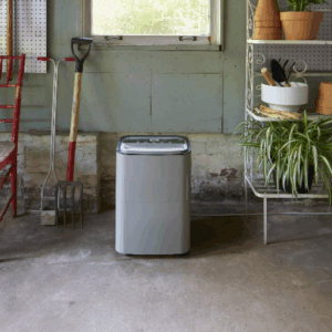 What size dehumidifier do I need?
