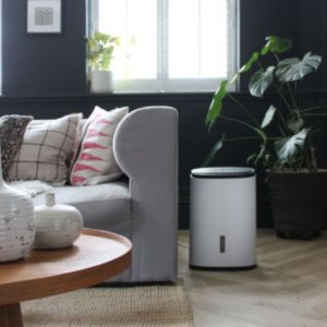 Tips for Buying the Right Size Dehumidifier