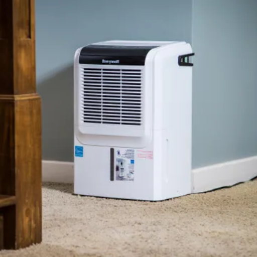 Where to place a dehumidifier in the home