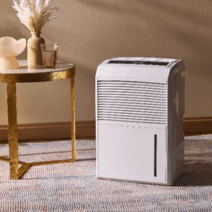 Where to place a dehumidifier in the home