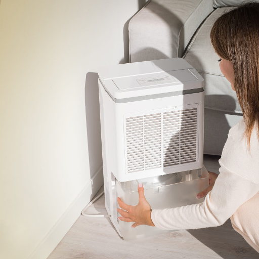 whole home dehumidifer