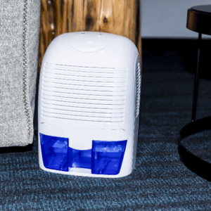 whole home dehumidifer