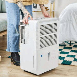 whole home dehumidifer