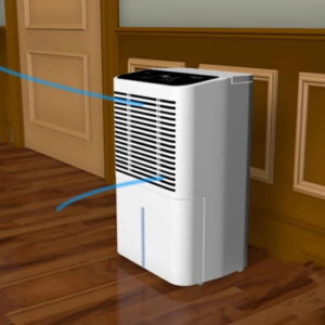 What Is a Whole-House Dehumidifier and How Does It Work?