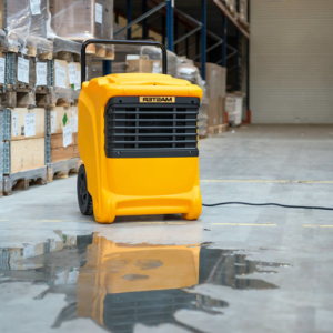 How to Choose the Right Whole House Dehumidifier