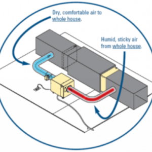 How to Choose the Right Whole-Home Dehumidification System