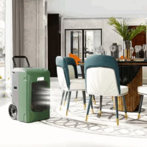 whole house dehumidification systems