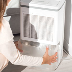 What Are the Dangers of Ignoring Humidity Levels?