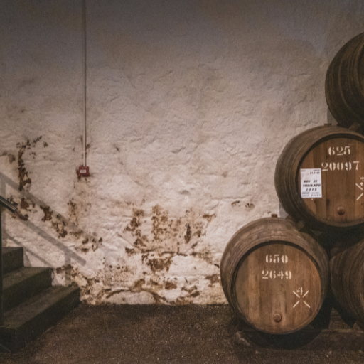 Dehumidifier For Cellar