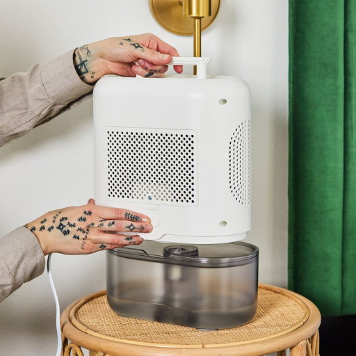 Addressing Common Issues with Bathroom Dehumidifiers