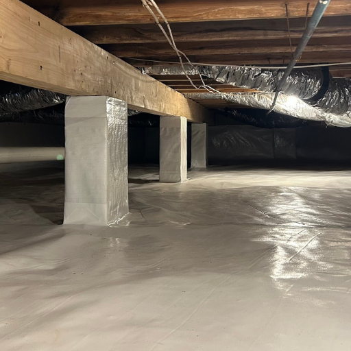 Why Do You Need a Dehumidifier for Your Crawl Space?