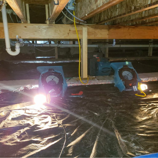 dehumidifier for crawl space