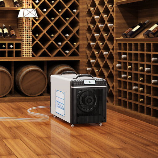 What is suitable Dehumidifier for a Basement in 2024?
