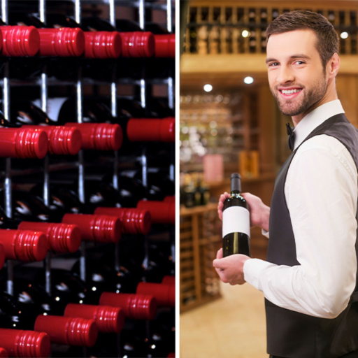 Installation and Maintenance Tips for Your Wine Cellar Dehumidifier