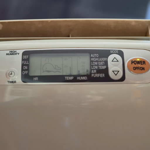 dehumidifier for garage