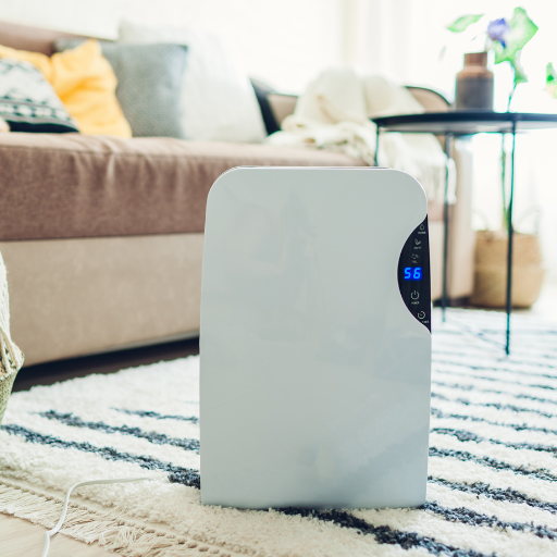 Small Dehumidifiers