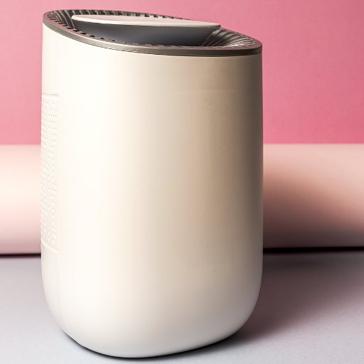 Small Dehumidifiers